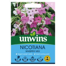 5051618035934 1 Nicotiana Whisper Mix Seeds.jpg